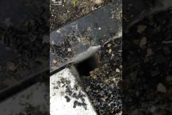 Не работает кракен сайт в тор браузере