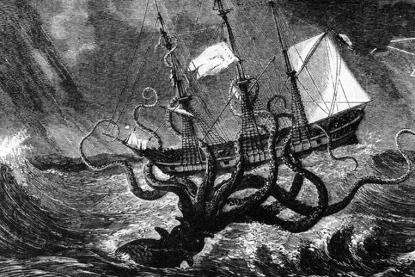 Kraken cc