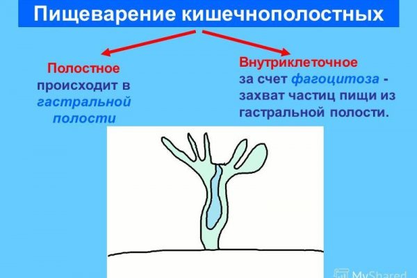 Не загружает фото на кракен с телефона
