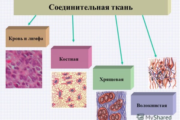 Ссылка в даркнет