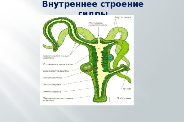 Ссылки на кракен блэкспрут