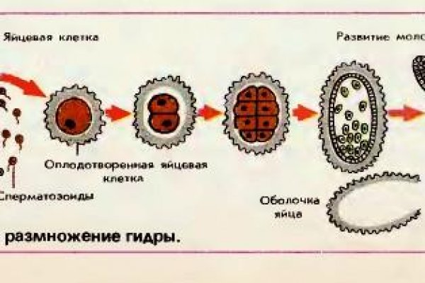 Как восстановить аккаунт кракен