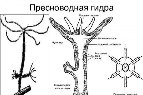 Кракен сайт 1kraken me официальный